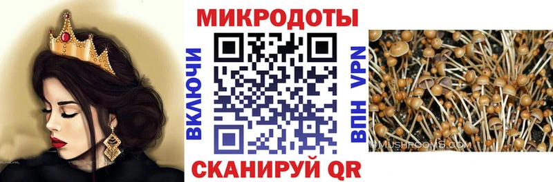 Псилоцибиновые грибы GOLDEN TEACHER  omg ссылки  Алатырь 